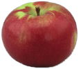 Park Hill Orchard, Easthampton